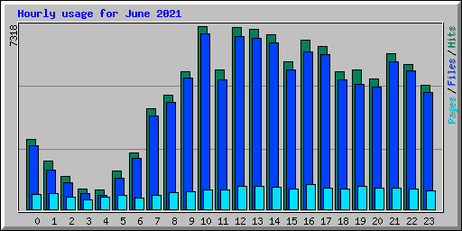 Hourly usage for June 2021